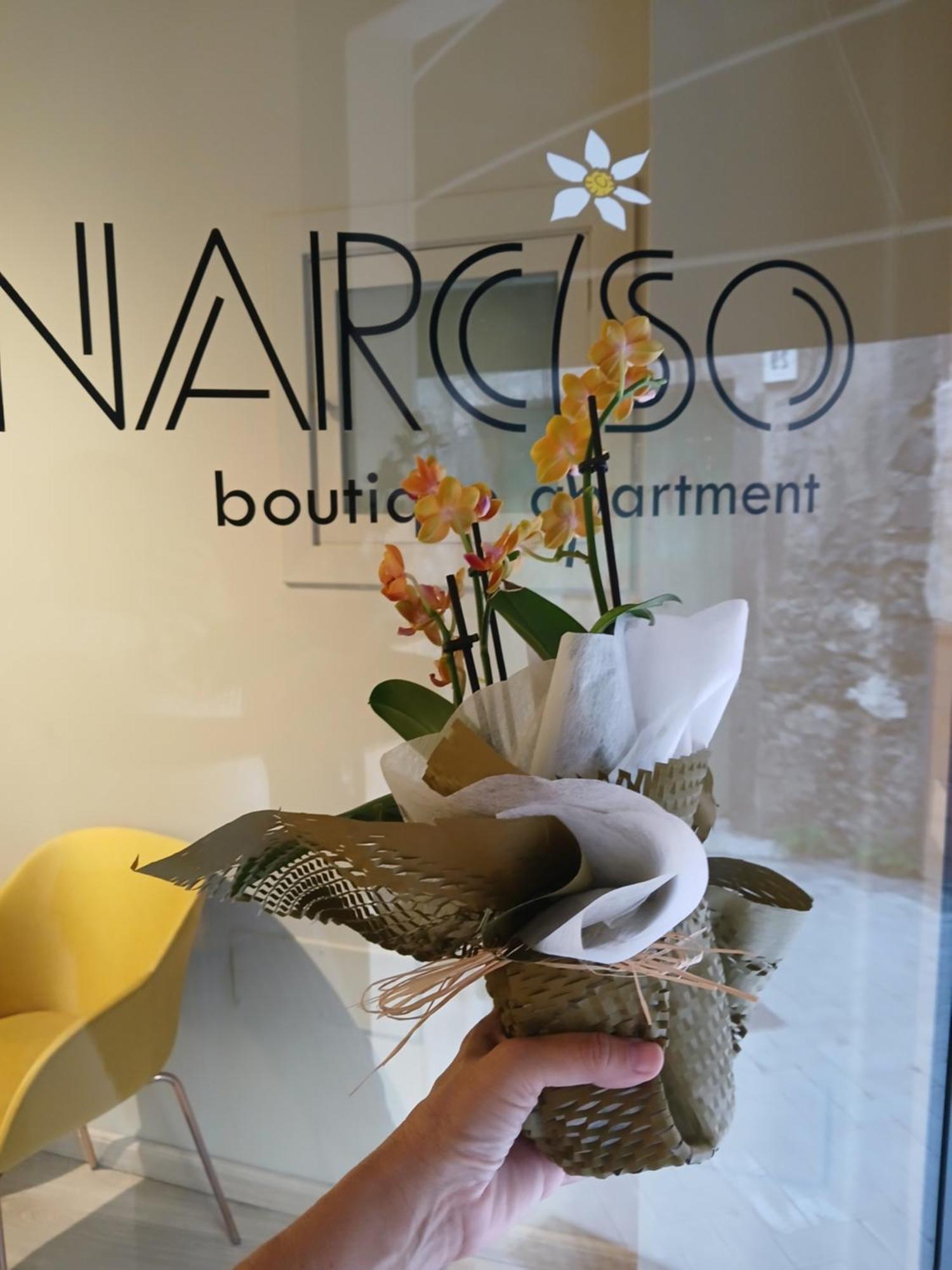 Narciso Boutique Apartment Acireale Buitenkant foto